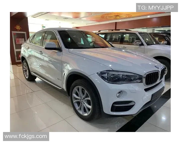 深度对话：周芳如何在网球世界中追逐梦想与挑战人生